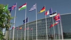 Почему страны НАТО заговорили о ядерном оружии