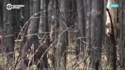 Ликвидаторы аварии на ЧАЭС из Казахстана вспоминают события 35-летней давности