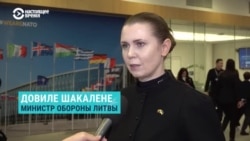 Интервью с министром обороны Литвы Довиле Шакалене